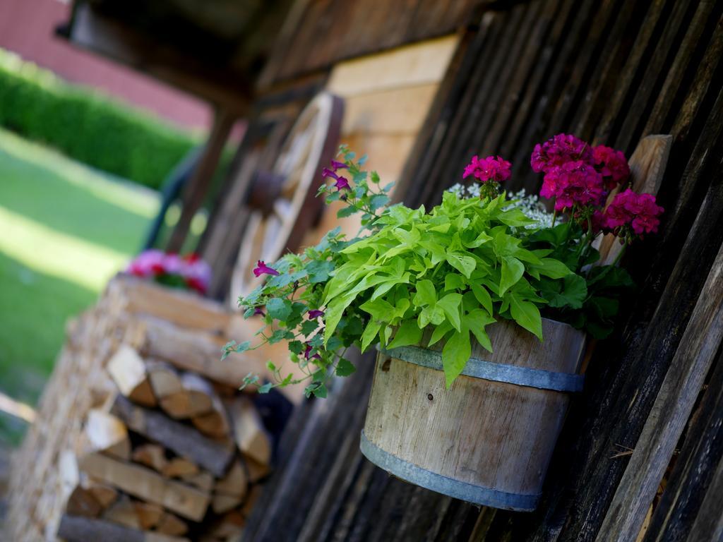 Apparthotel Ederfeld Mayrhofen Buitenkant foto
